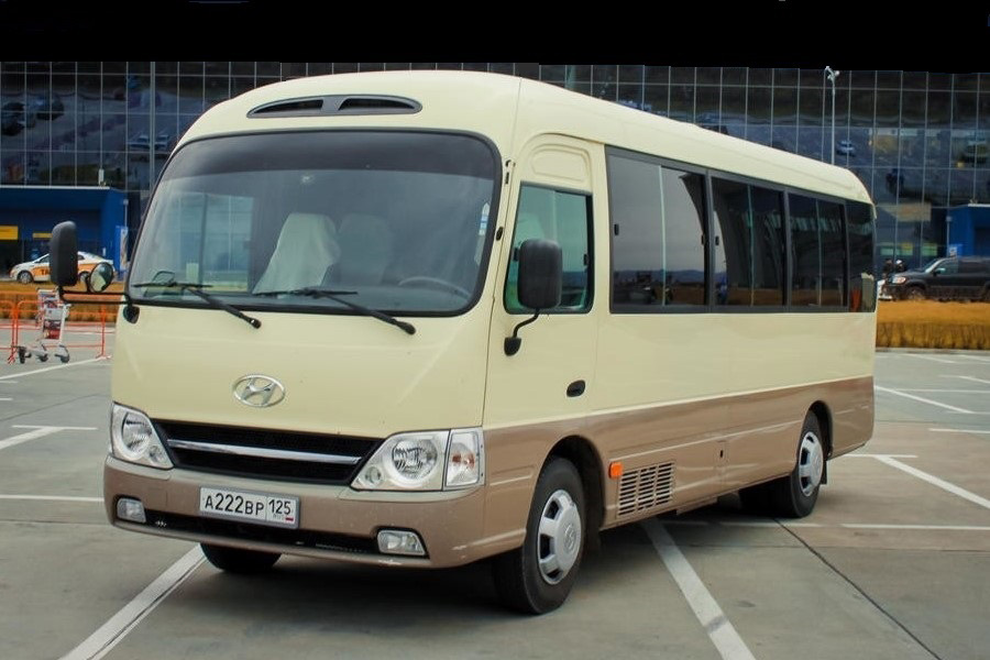 Автобусы